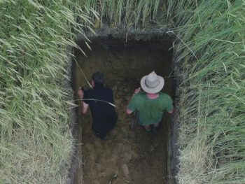 Analyse agroécologie