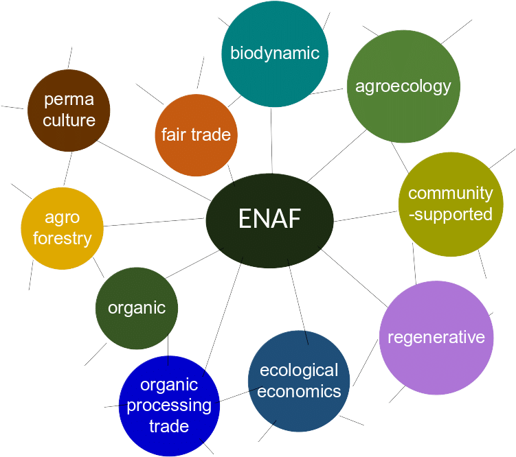 ENAF principles